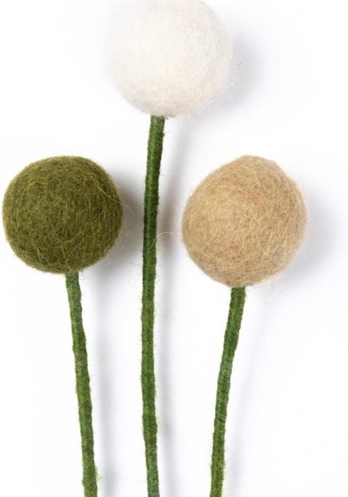 Sjaal met Verhaal - Craspedia's Mistletoe (3 stuks)