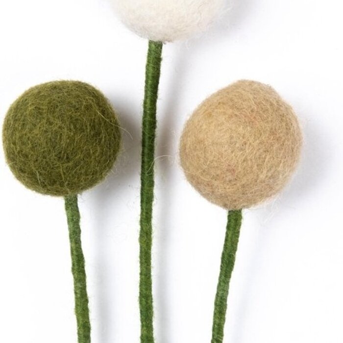 Sjaal met Verhaal Craspedia's Mistletoe (3 stuks) - Sjaal met Verhaal