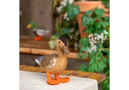Sjaal met Verhaal Decoratie Eend: Wilde Eend - Sjaal met Verhaal