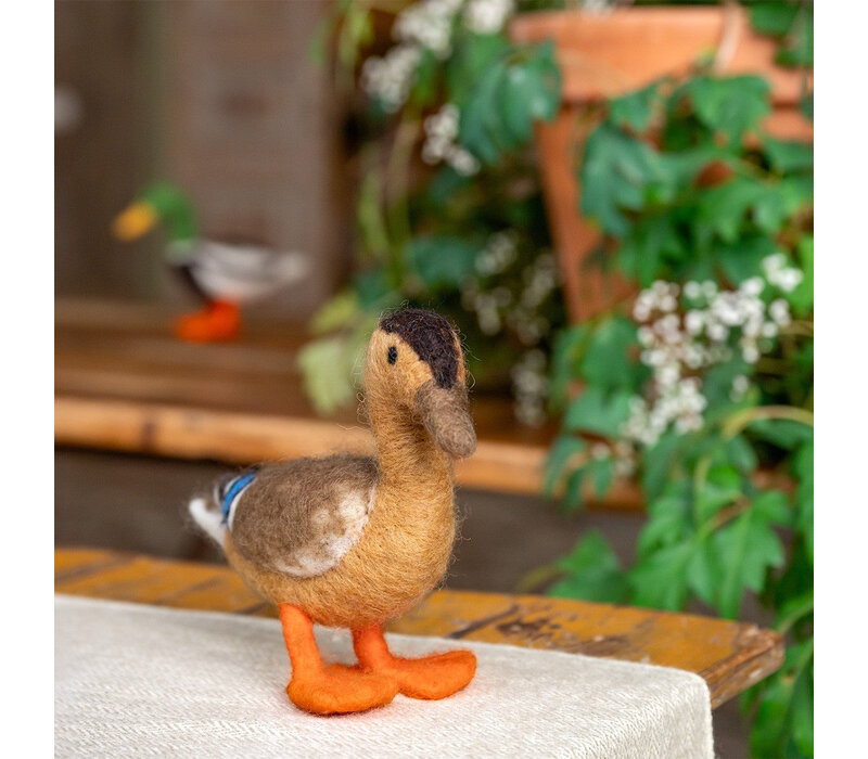 Sjaal met Verhaal - Decoratie Eend: Wilde Eend