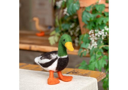 Sjaal met Verhaal Decoratie Eend: Wilde Eend Woerd - Sjaal met Verhaal