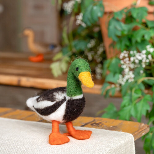 Decoratie Eend: Wilde Eend Woerd - Sjaal met Verhaal 