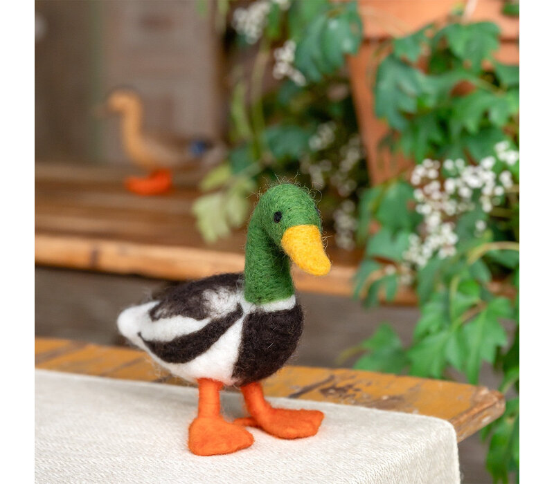 Sjaal met Verhaal - Decoratie Eend: Wilde Eend woerd