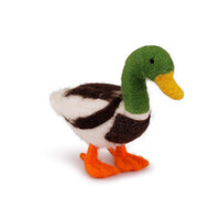 Sjaal met Verhaal - Decoratie Eend: Wilde Eend woerd