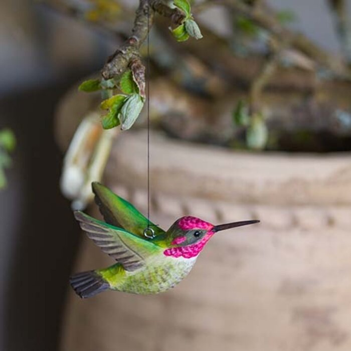 Wildlife Garden - Anna's Hummingbird (Kolibrie - set van 2)