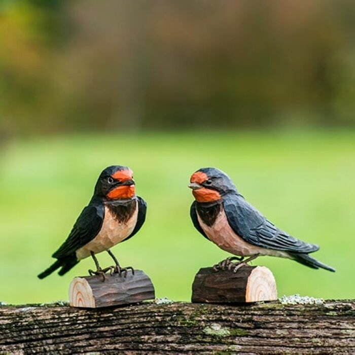Wildlife Garden - Barn Swallow (Boerenzwaluw)
