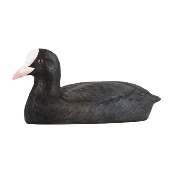 Wildlife Garden - Eurasian Coot (Meerkoet)
