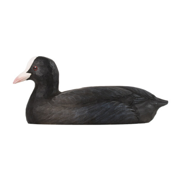 Wildlife Garden - Eurasian Coot (Meerkoet)