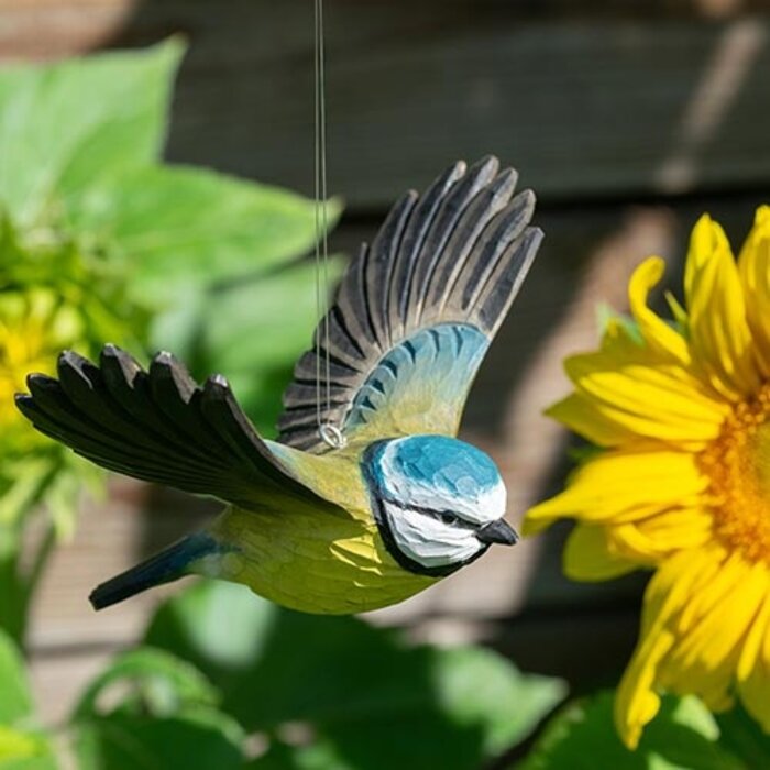 Wildlife Garden – Flying Blue Tit (Pimpelmees)
