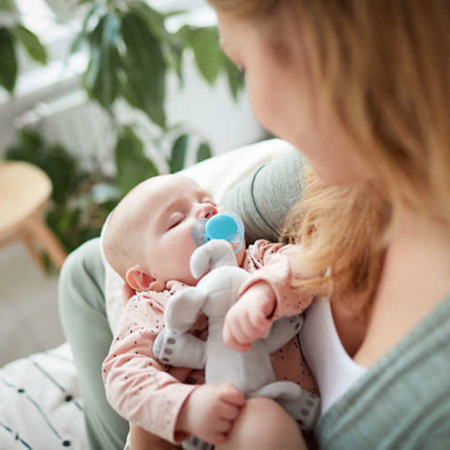 Philips Avent - Snuggle Knuffelspeen - Ultra Soft Olifant - 0/6 maanden