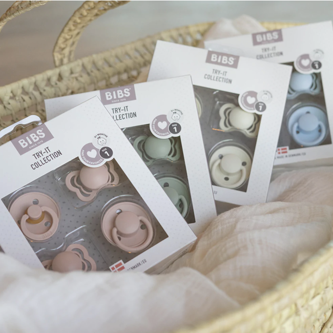 BiBS - Try it Collection - Fopspenen - Maat 1  - Ivory - 4 stuks