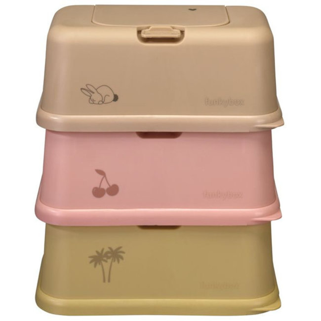 Funkybox - Ginger - Palm Tree