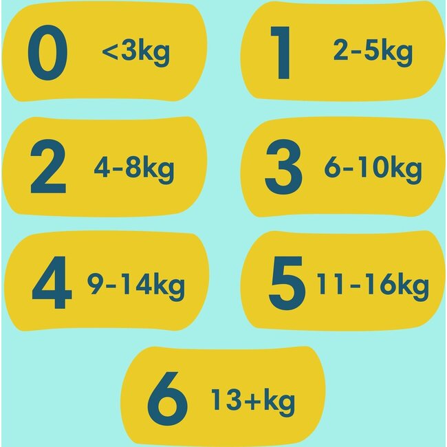 Pampers - Premium Protection - Maat 5 - Megapack - 82 luiers - 11/16 KG