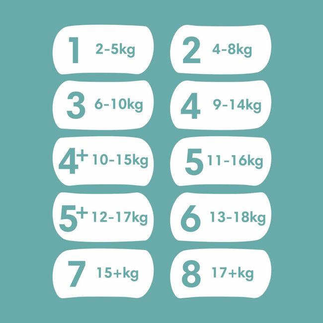 Pampers - Baby Dry - Maat 5+ - Maandbox - 168 stuks - 12/17KG