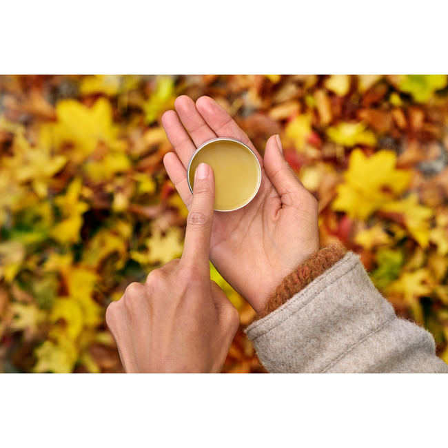 Weleda Calendula - Alles-In-Één Balsem - 25g