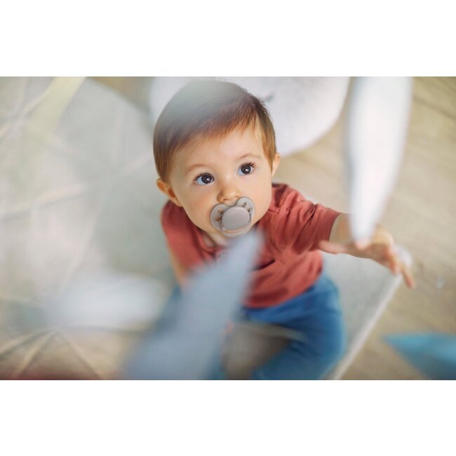 Philips Avent Ultra Soft Fopspeen - 6 tot 18 Maanden - 2 Stuks - Blauw/Grijs