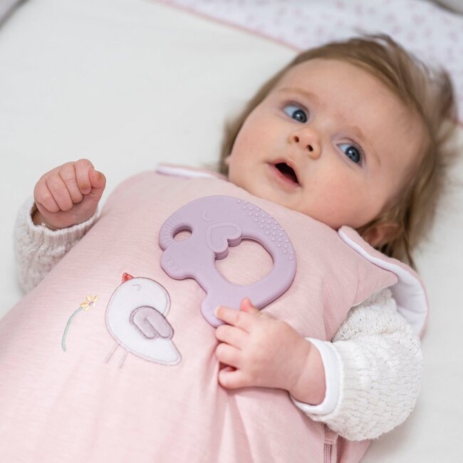 Nattou - Bijtring - Olifant - Lila - Siliconen - 0+ Maanden