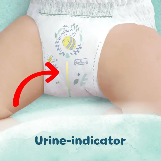 Pampers - Harmonie - Maat 1 - Small Pack - 60 stuks - 2/5 KG