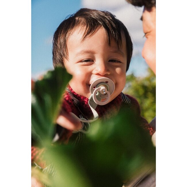 BIBS – Studio Collection - Fopspeen - Rond – Bumblebee/Mushroom  – Maat 2 – 2 Stuks