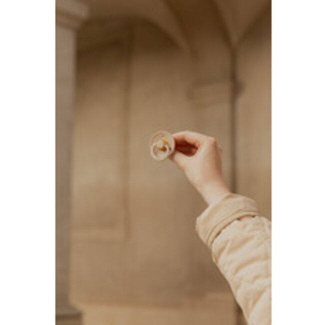 BIBS - Colour Fopspeen - Rond - Maat 1 - Vanilla/Pine - 2 Stuks