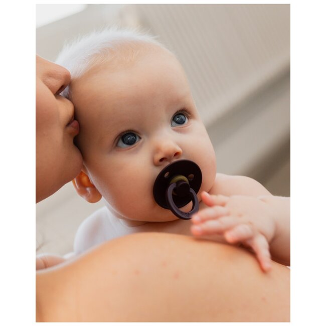 BIBS - Colour Fopspeen - Rond - Maat 2 - Petal/Plum - 2 Stuks