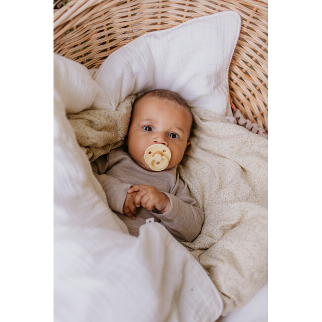 BIBS - Colour Fopspeen - Anatomisch - Maat 2 - Woodchuck/Blush - Duopack