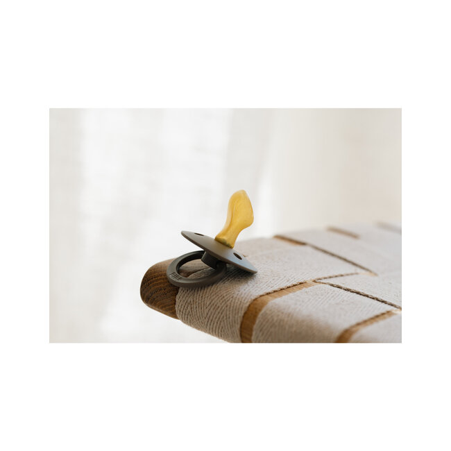 BIBS - Colour Fopspeen - Anatomisch - Maat 1 - Sage/Hunter Green