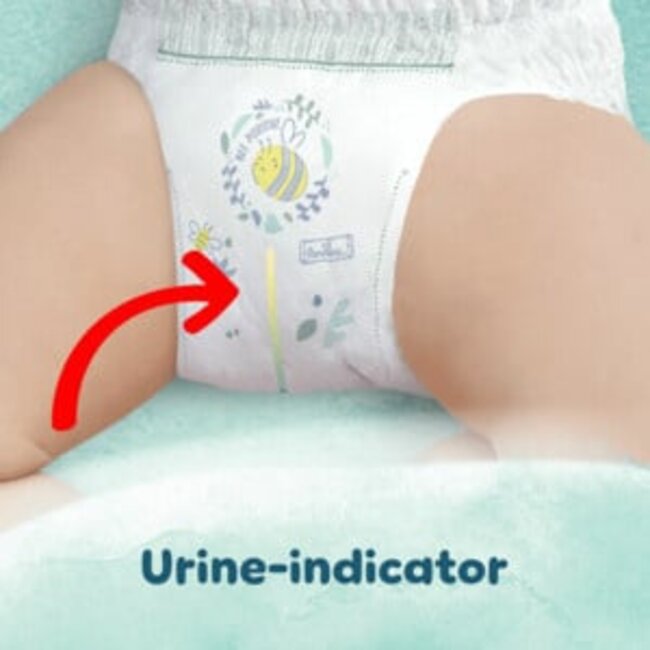 Pampers - Harmonie - Maat 6 - Maandbox - 136 stuks - 13+KG