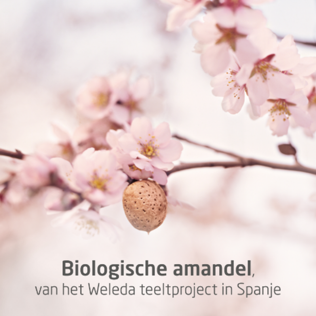 Weleda Mama- Perineum Massageolie - 50ml olie