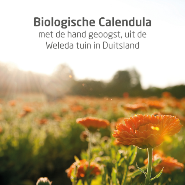 Weleda Calendula - Verzorgende Baby Olie - 200 ml - Parfumvrij