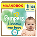 Pampers Pampers - Harmonie - Maat 1 - Maandbox - 176 stuks - 2/5KG