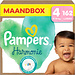 Pampers Pampers - Harmonie - Maat 4 - Maandbox - 162 stuks - 9/14 KG