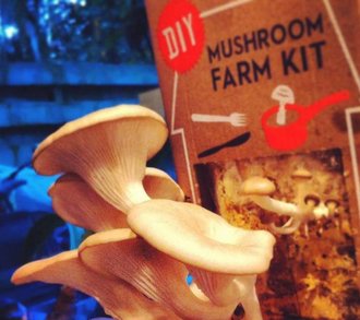 DIY kits: creatief tijdens Corona