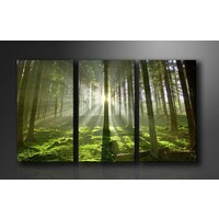 Karo-art Schilderij Bos (160x90cm)