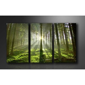 Karo-art Schilderij Bos (160x90cm)