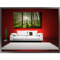 Karo-art Schilderij Bos (160x90cm)