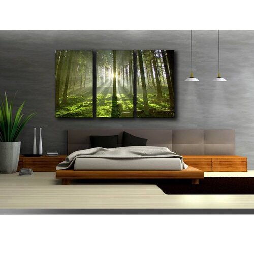 Karo-art Schilderij Bos (160x90cm)