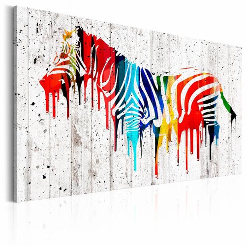 Schilderij Zebra in kleur