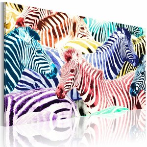 Schilderij Zebra's in kleur