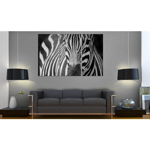 Schilderij - Mevr. Zebra