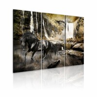 Schilderij Zwart paard voor waterval