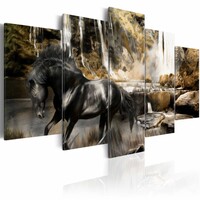 Schilderij Zwart paard voor waterval III