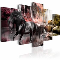 Schilderij Zwart paard voor waterval V