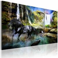 Schilderij Zwart paard voor waterval VI