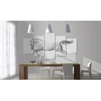 Schilderij - Paard - passie en vrijheid