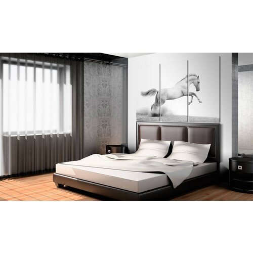 Schilderij - Paard in galop