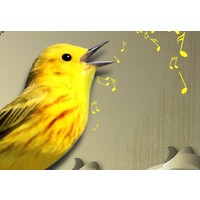 Schilderij Gele vogel zingt