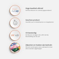 Schilderij - Kolibrie en rozen