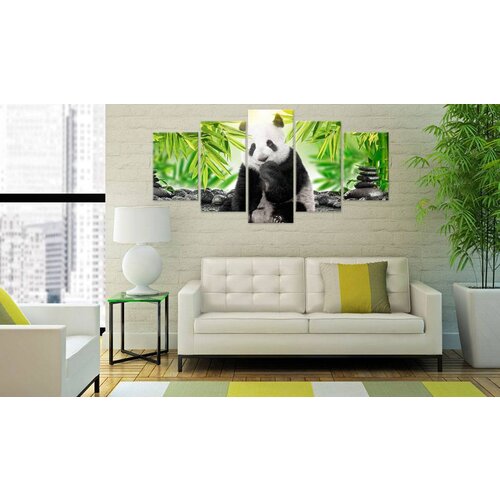 Schilderij - Kleine Panda