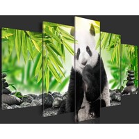 Schilderij - Kleine Panda
